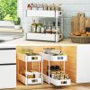 2 Tier Under Sink Organizers and Storage Bathroom Organizer Under Sink, 2 Tier Pull Out Cabinet Organizer for Kitchen Bathroom Sink Storage, White